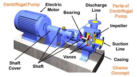 centrifugal pump diagram with parts.